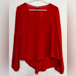 Naked Zebra V-Neck Red Blouse